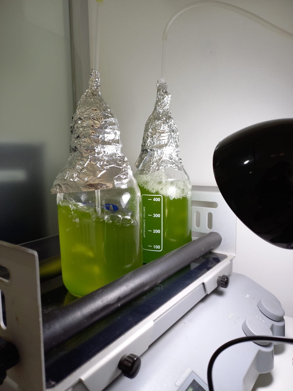 Investigación oncológica profesional médico