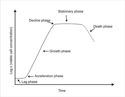 Determinación de cinética de crecimiento