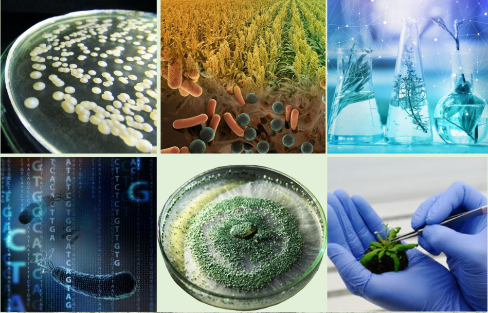 Laboratorio científico