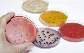 Detección de Listeria monocytogenes