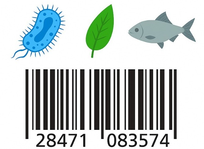 Análisis barcoding y metabarcoding de origen variado